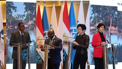 تعاون بين الاتحاد الإفريقي ومركز القاهرة الدولي لبناء قدرات الدول الأفريقية على الاستجاة لتغير المناخ 