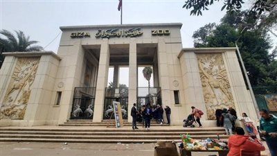 مجلس الوزراء: زيادة عدد الحيوانات والأشجار ضمن خطة تطوير حديقتي 