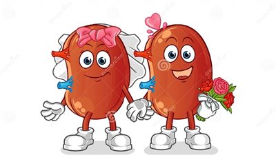 علاج الفشل الكلوي عند الأطفال.. الغسيل الدائم أو الزراعة 