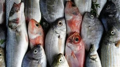 أسعار الأسماك الخميس 28_ 9_ 2023