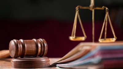 إحالة المتهم بقتل وتمزيق طالب المنصورة إلى محكمة الجنايات