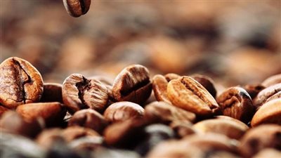 في اليوم العالمي للقهوة.. أشهر أنواع البن اليمني.. ومميزاته