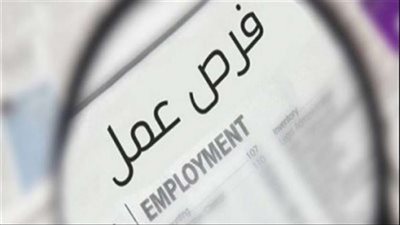 شروط الوظائف الشاغرة في وزارة النقل 2023.. والخطوات والمواعيد 