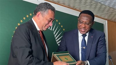 أمين عام الوكالة المصرية للشراكة يشارك في الاجتماع الشهرى لسفراء الأفارقة المعتمدين في القاهرة