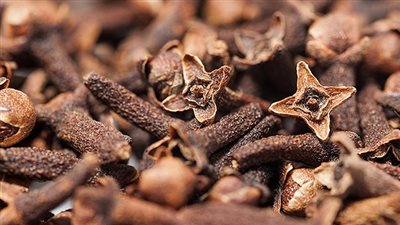 فوائد القرنفل للمرأة.. 5 منافع سحرية للرحم والمبايض والهرمونات