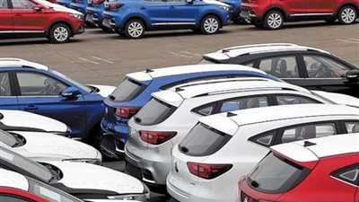 برلمانية تتقدم بطلب إحاطة بشأن الرقابة على منظومة سيارات المعاقين