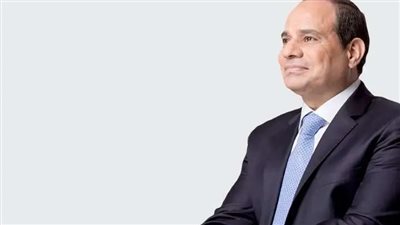 مصر.. شعبة «الإعلام ومنتجي التلفزيون» تعلن تأييدها لـ السيسي في الانتخابات