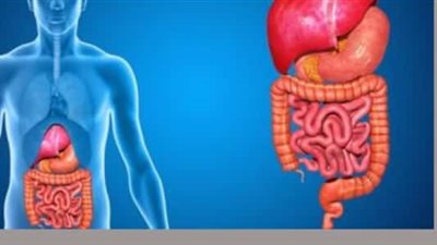 علاج التلبك المعوي منزليا في عيد الأضحى 