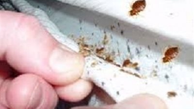 أماكن تختبئ بها الجراثيم فى منزلك.. اكتشفيها