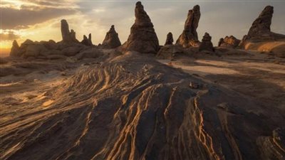 كل ما تريد معرفته حول 