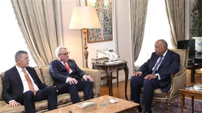 وزير الخارجية: الوضع الإنساني في قطاع غزة خطير ويجب وقف الحرب الدائرة