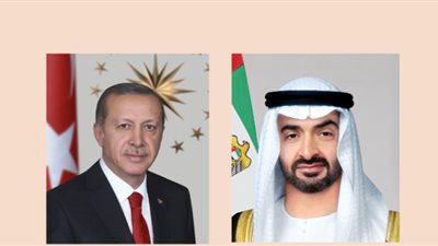 رئيس دولة الإمارات وأردوغان يبحثان تطورات الأوضاع في المنطقة