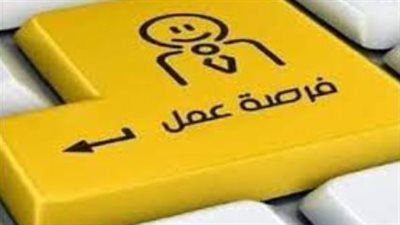  شروط التقديم للوظائف الشاغرة بوزارة الشباب والرياضة 2023