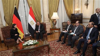 شكري يُطالب بوقف التصعيد في غزة لتجنيب المدنيين المزيد من المخاطر