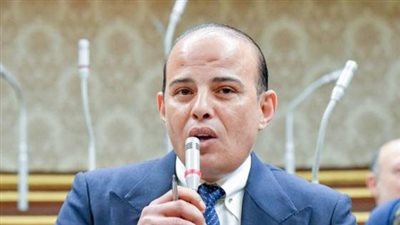 القطامي: نقف صفًا واحدًا خلف القيادة السياسية دفاعًا عن أمن مصر القومي