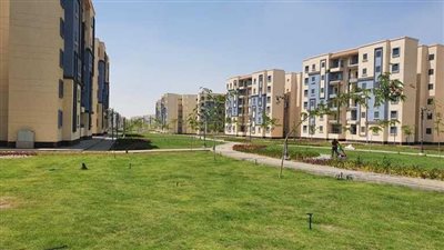 مصر تُعلن الاستعداد لنقل تجربة 