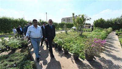 مصر.. تعرف على حجم الاستثمارات في العبور خلال عهد السيسي