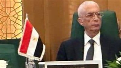 نائب وزير الخارجية يلقي كلمة مصر في الاجتماع الاستثنائي للجنة التنفيذية لمنظمة التعاون الإسلامي 