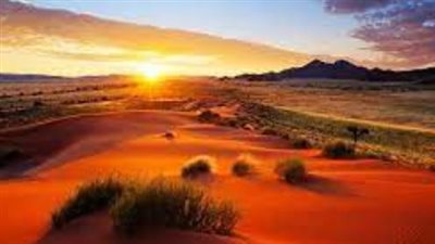 بعدما تصدرت التريند.. 16 معلومة لا تعرفها عن صحراء النقب