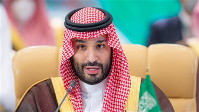 وفق حدود 1967.. محمد بن سلمان يدعو إلى إقامة دولة فلسطينية 