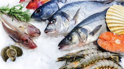 أسعار السمك والجمبري اليوم الثلاثاء 17 _ 10__ 2023