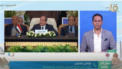 باحث سياسي يكشف أسباب تأجيل اجتياح غزة من قبل العدوان الصهيوني (فيديو)