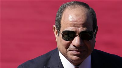 سياسي مصري: السيسي عبر بمصر لبر الأمان 