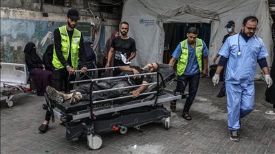 عاجل.. الصحة الفلسطينية تعلن 