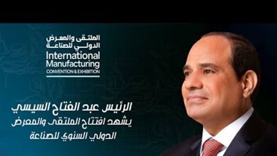 الرئيس السيسي: الدولة المصرية قادرة على حماية بلدها تماما (فيديو)