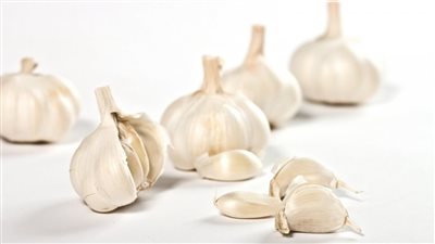 كيف يمكن علاج البواسير بالثوم؟.. هل يحقق نتائج فعالة