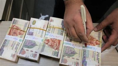 أنواع شهادات البنك المركزي المصري؟