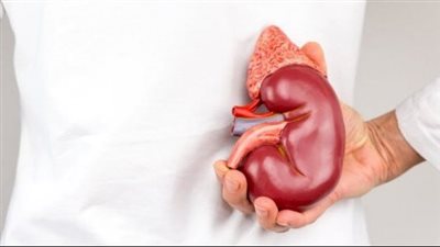 مشروب يذيب دهون الكبد.. مشروبات عديدة أبرزها الماء والقهوة أحرص عليها يوميًا 