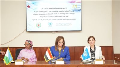 اتفاقات بين مصر وجيبوتي على تنفيذ التعداد السكاني الإلكتروني 