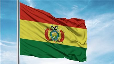 تظاهرات في بوليفيا للسماح بالنساء بالإجهاض بشكل قانوني