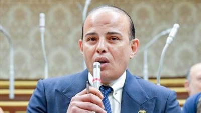 برلماني مصري يُدين استهداف الاحتلال الإسرائيلي لمخيم جباليا