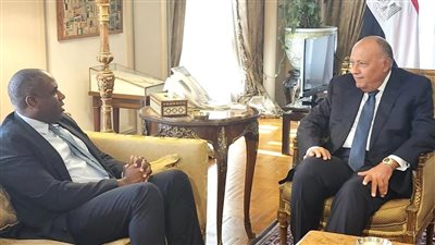 سامح شكري يلتقي وزيري الخارجية والتنمية الدولية بحكومة الظل بمجلس العموم البريطاني