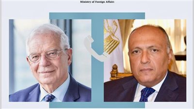 شكري يتلقى اتصالات من وزيري خارجية روسيا ونيوزيلاندا والممثل الأعلى للشئون الخارجية للاتحاد الأوروبي