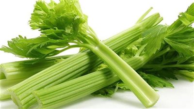 فوائد الكرفس للرجال والنساء.. 12 منفعة مذهلة أهمها الوقاية من التهاب المسالك البولية