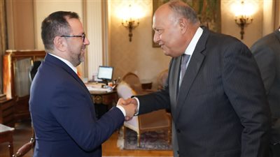 وزير الخارجية يستقبل نظيره الفنزويلي بالقاهرة 