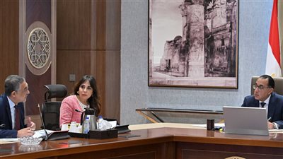 مصر.. الانتهاء من إعداد منصة إلكترونية للتقدم للحصول على الرخصة الذهبية وسيتم إطلاقها قريبًا