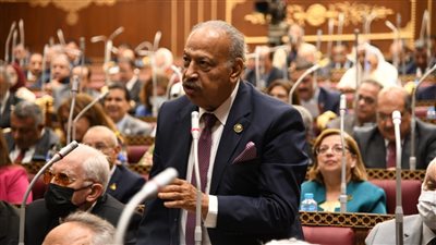 برلماني: يجب الاستماع لنداء مصر لوقف نزيف الفلسطينيين وإحلال السلام