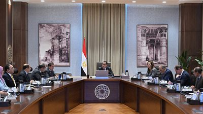 مصر.. مدبولي يوجه بسرعة طرح المشروعات على القطاع الخاص مع خطة ترويجية لها