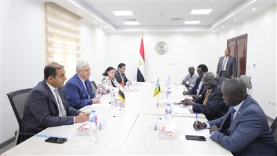 مباحثات مصرية جنوب سودانية لتعزيز التعاون التعليمي والعلمي