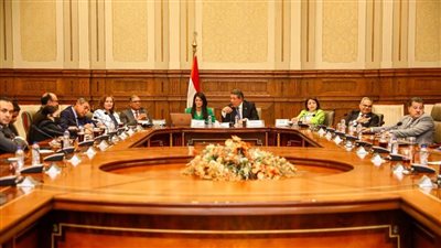 المشاط: العلاقات المصرية الصينية تشهد تحولًا منذ عام 2014