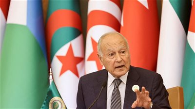 أبو الغيط يناشد مجلس الأمن بالعمل على وقف الهجوم الإسرائيلي فورا