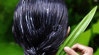 ماسك الصبار للشعر الجاف والمتقصف.. تعرفي على فوائد جل الألوفيرا