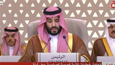 محمد بن سلمان: المملكة تؤكد رفضها القاطع لاستمرار قصف قطاع غزة (فيديو)