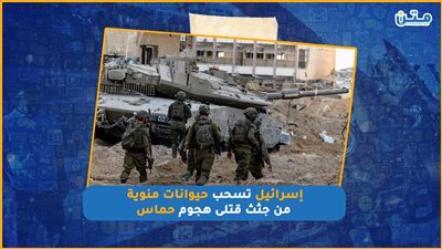 إسرائيل تسحب حيوانات منوية من جثث قتلى هجوم حماس (فيديوجراف)