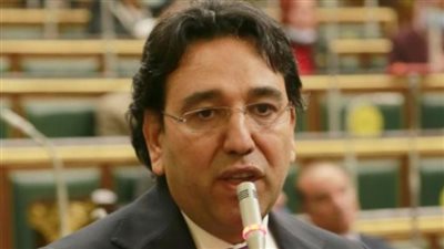 برلماني مصري عن القمة العربية الطارئة:، تأتي في توقيت شديد الحساسية في ظل أحداث غزة