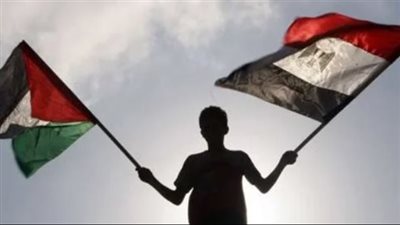 برلماني: مصر انتقلت من الدعم السياسي والإنساني للقضية الفلسطينية إلى الدعم القانوني 